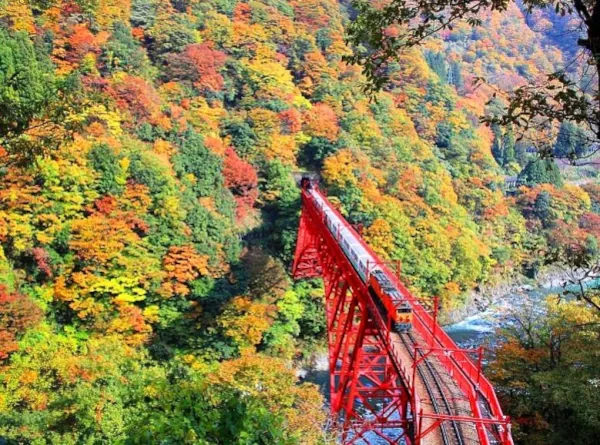 Japan By Rail In Autumn