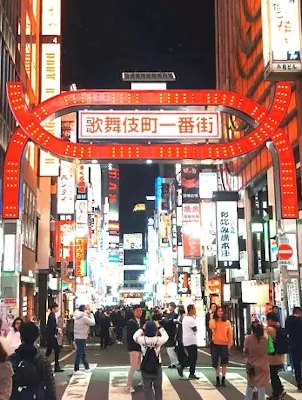Japan By Rail In Autumn