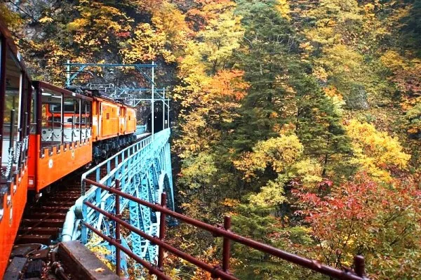 Japan By Rail In Autumn