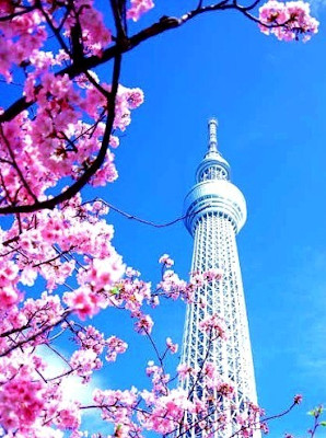 Japan Springtime Spectacular