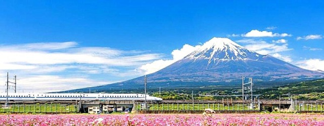 Japan Springtime Spectacular