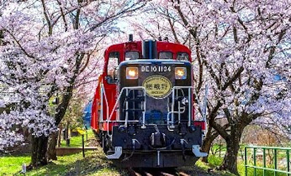 Japan Springtime Spectacular