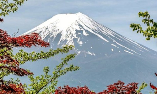 Japan Springtime Spectacular