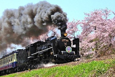 Japan Springtime Spectacular