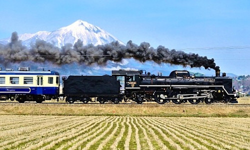 Japan Springtime Spectacular