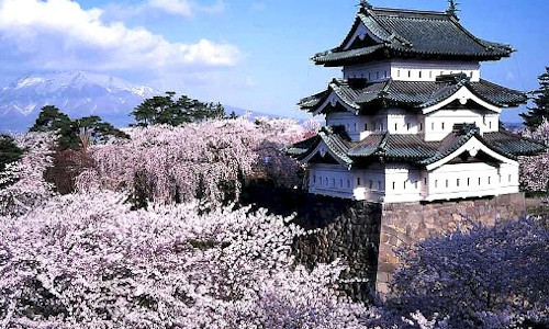 Japan Springtime Spectacular