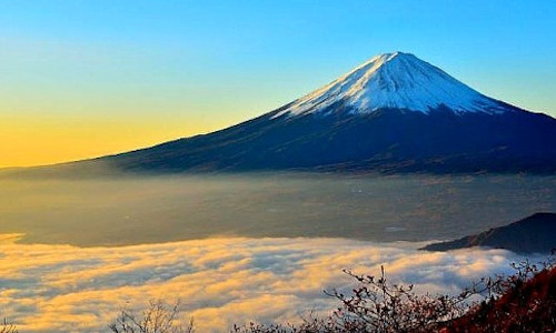 Japan Springtime Spectacular