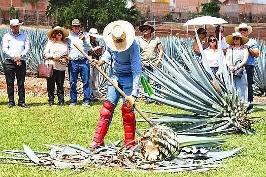 Mexican Rail Spectacular