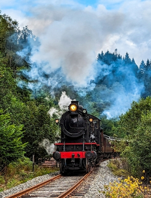 Norway Rails And Fjords