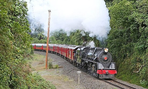 New Zealand Steam Adventure