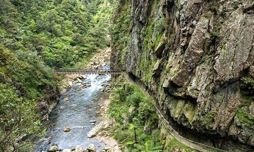 New Zealand Steam Adventure