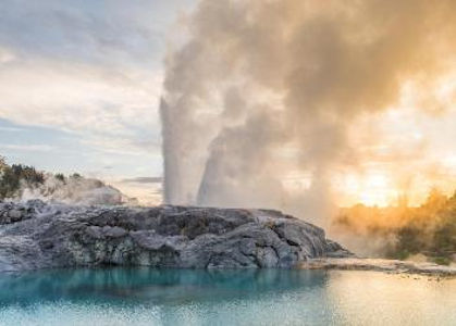 New Zealand Steam Adventure