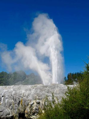 New Zealand Steam Adventure