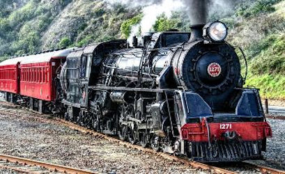 New Zealand Steam Adventure