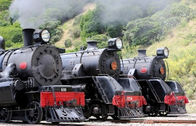 New Zealand Steam Adventure