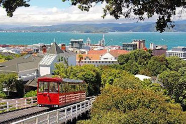 New Zealand Steam Adventure