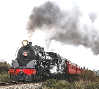 New Zealand Steam Adventure