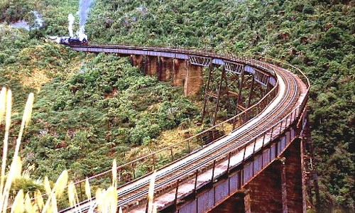 New Zealand Steam Adventure