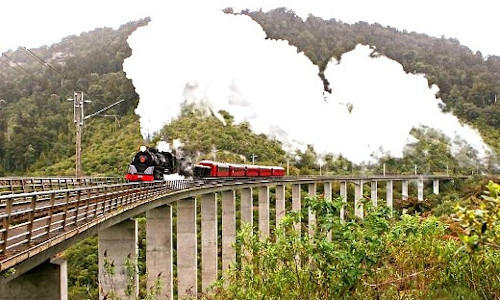 New Zealand Steam Adventure