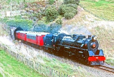 New Zealand Steam Adventure