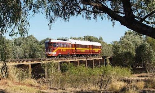 Queensland Savannah