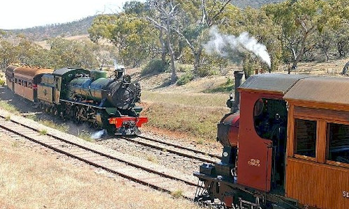 South Australia Steam Safari