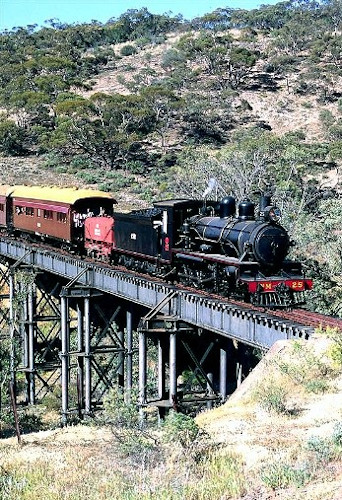 South Austalia Steam Safari