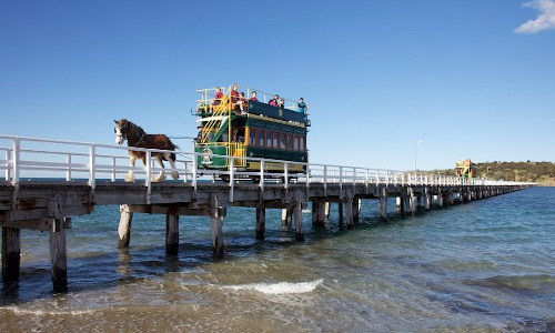 South Austalia Steam Safari