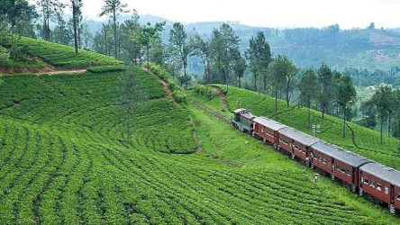 Sri Lanka By Local Rail