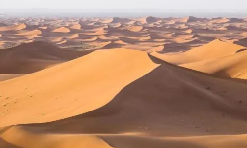 The Moroccan Express