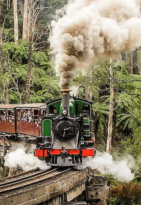 Victorian Goldfields Rail Adventure