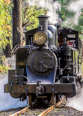 Victorian Goldfields Rail Adventure